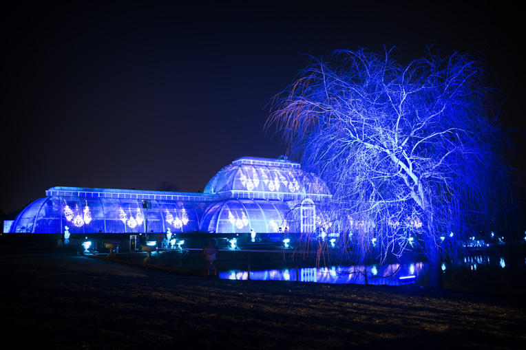 The Palm House in Blue