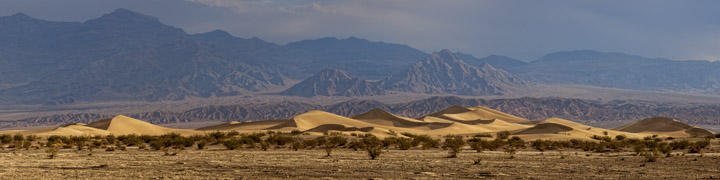 Panoramic view of Mesquite Dunes in California