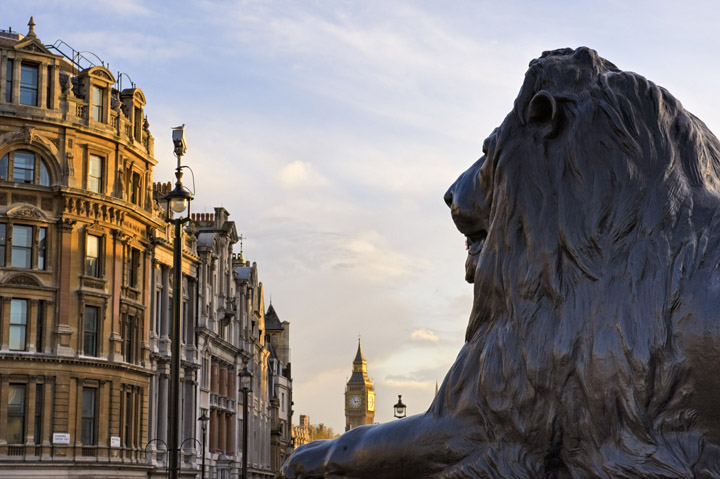  London Print of Trafalgar Square Lion