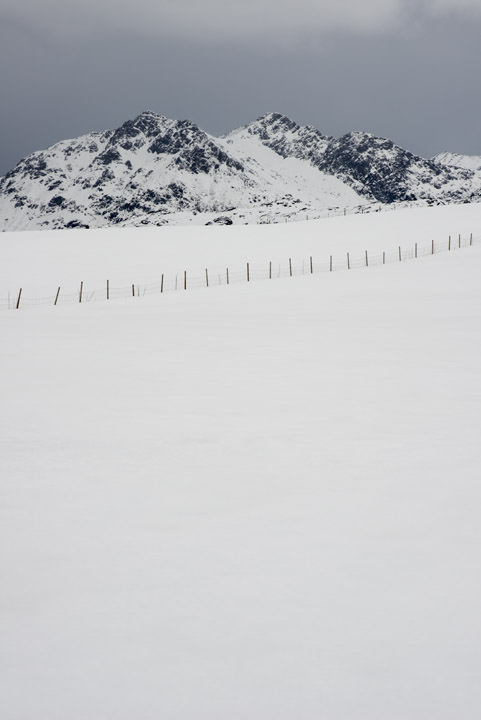 Photograph of Arctic Snow Scene 3
