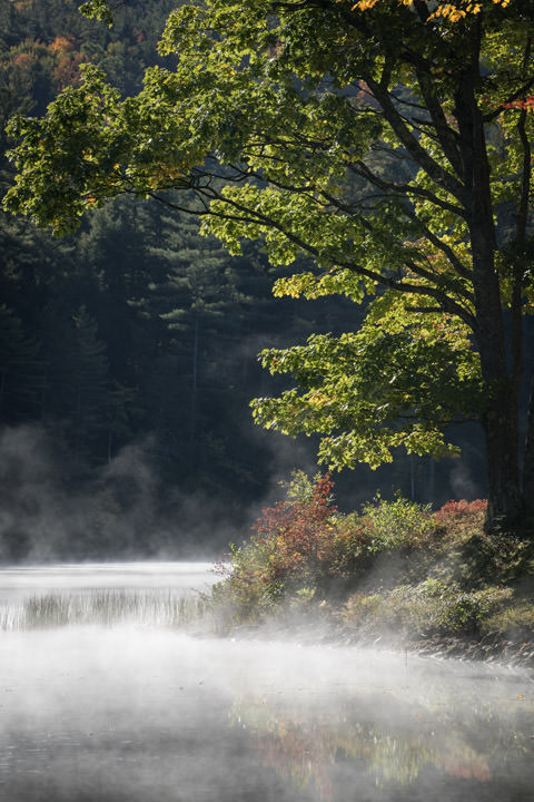 Photograph of Autumn Mist 1