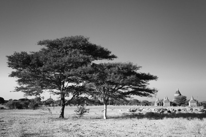 Photograph of Bagan Countryside 1