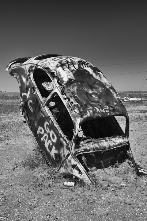 Photograph of Buried Beetle - Route 66