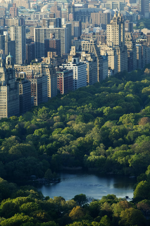 Photograph of Central Park