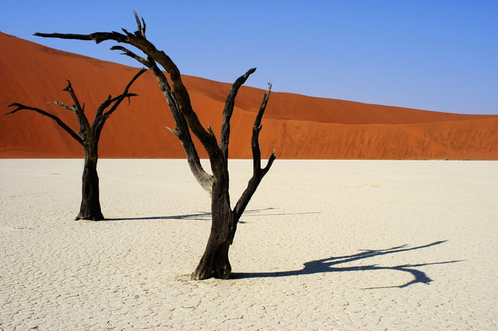 Dead Vlei Namibia - Africa