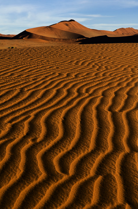 Photograph of Desert Stripes