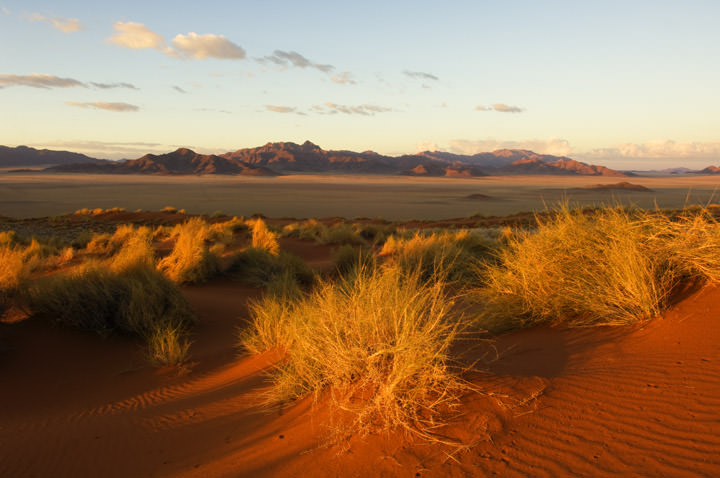 Desert panorama - Namibia - Africa