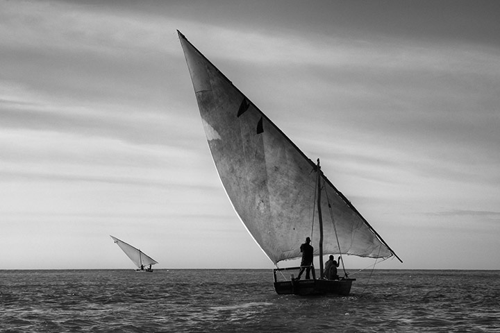 Photograph of Dhows 3
