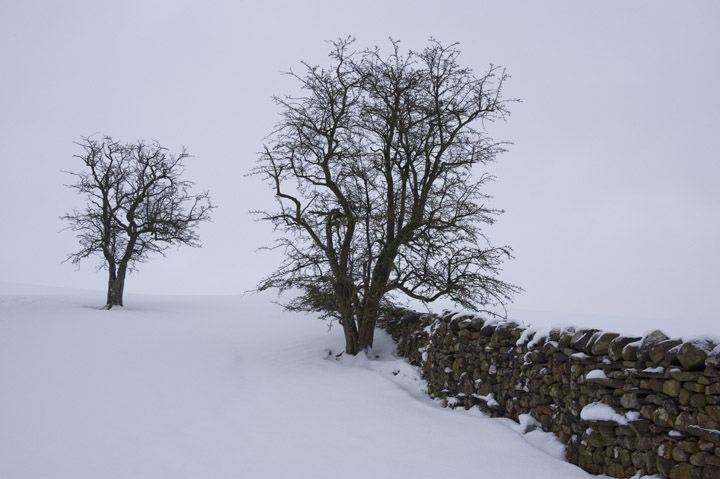Photograph of Drystone Wall in Winter