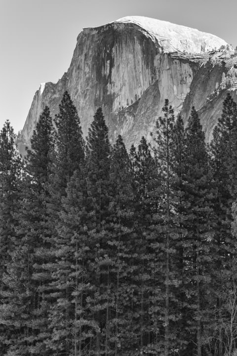 Photograph of El Capitain Yosemite 3
