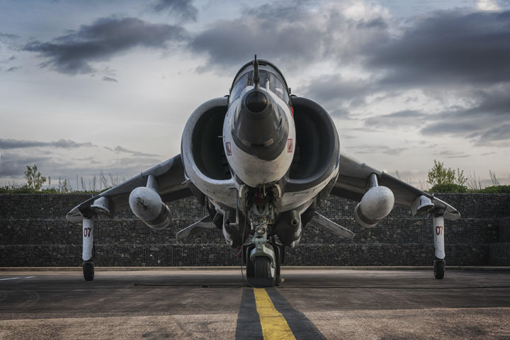Photograph of Harrier 1