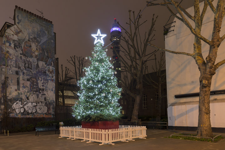 Photograph of London Christmas Tree 1