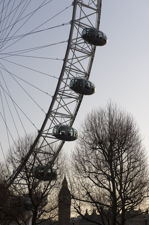 Photograph of London Eye 7
