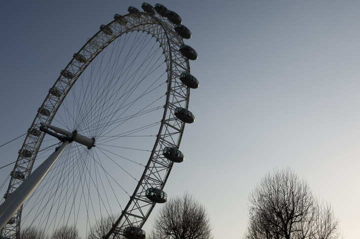 London Eye and bare trees in winter