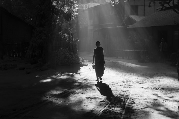 Photograph of Morning Monk