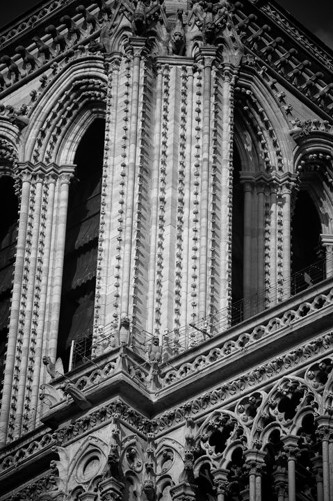 Photograph of Notre Dame Detail 3