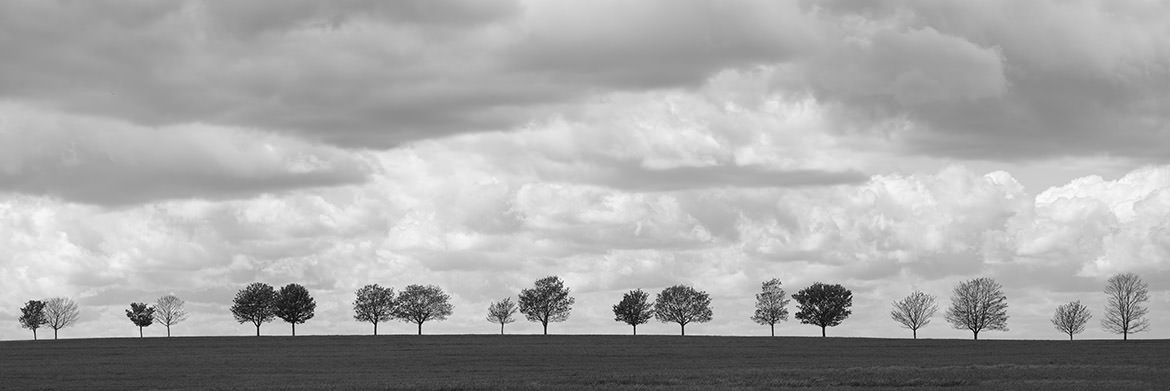 Pairs of Trees