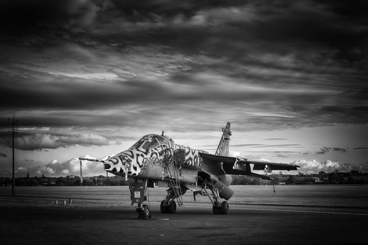 Photograph of RAF Jaguar 1