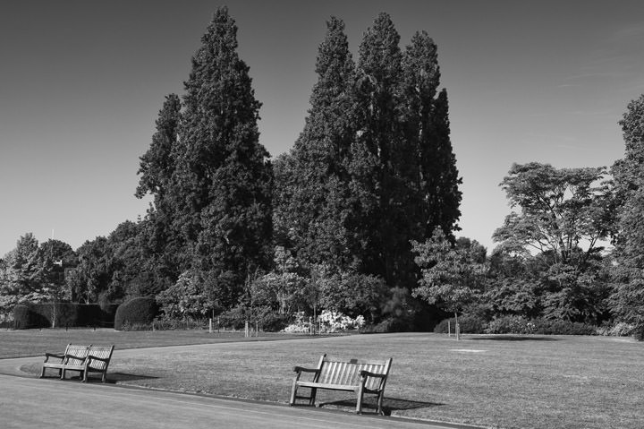 Photograph of Regents Park 8