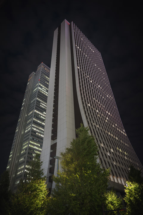 Photograph of Shinjuku Skyscrapers 2