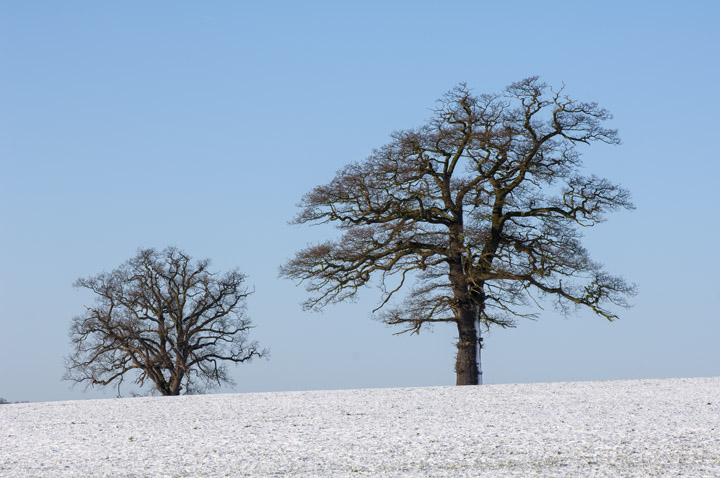 Snow in Hertfordshire