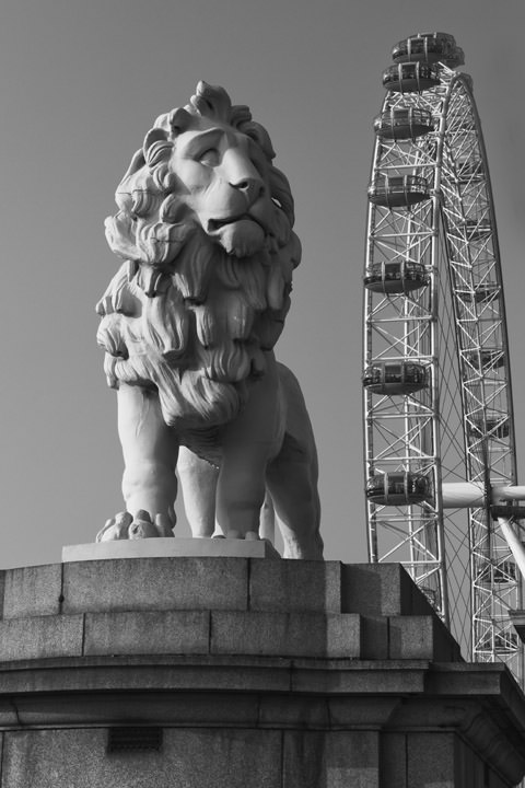 Photograph of South Bank Lion