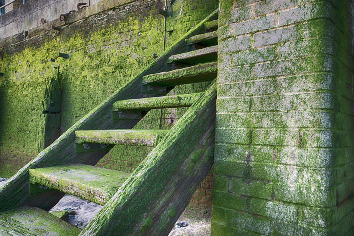 Photograph of Steps to River Thames