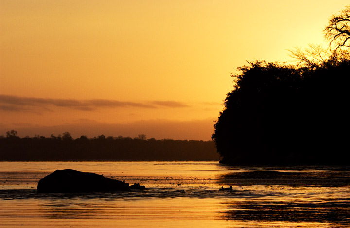 Sunrise at Sands River Tanzania - Africa