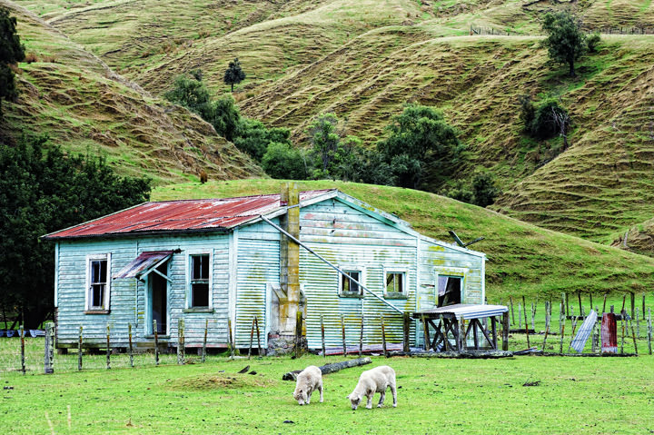 The Green Farmhouse New Zealand