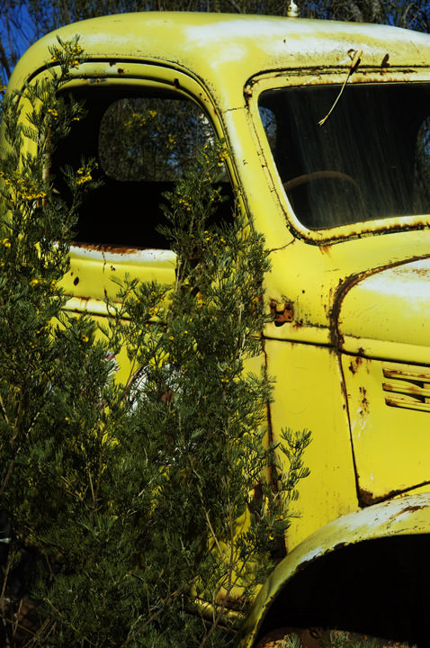 Photograph of The Old Yellow Truck