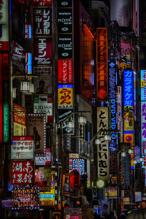 Photograph of Tokyo Signs 1