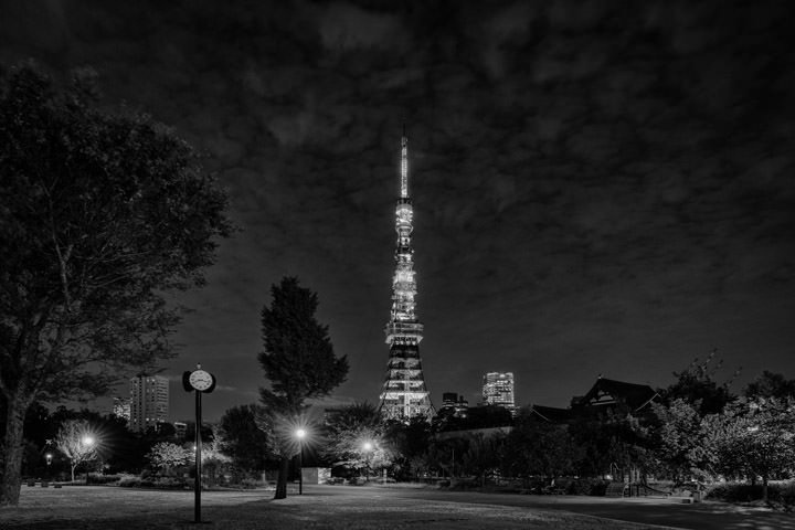 Photograph of Tokyo Tower 4
