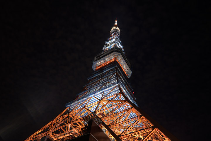 Photograph of Tokyo Tower 6