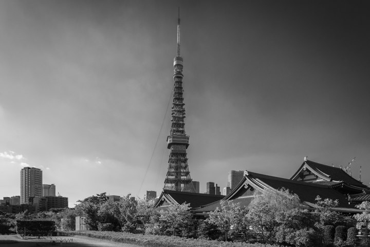 Photograph of Tokyo Tower 7