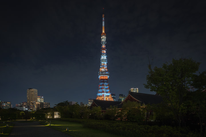 Photograph of Tokyo Tower 9