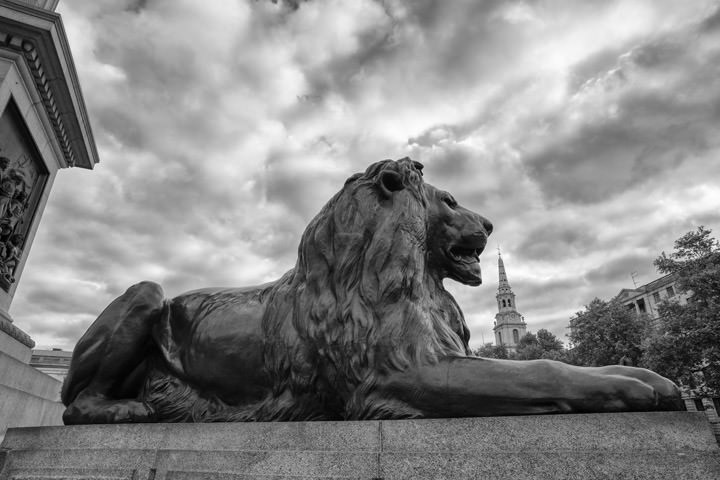 Photograph of Trafalgar Square Lion 1