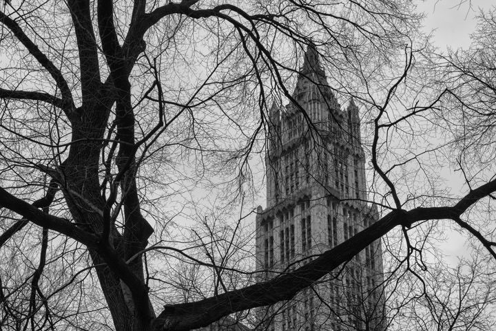 Photograph of Woolworth Building 12