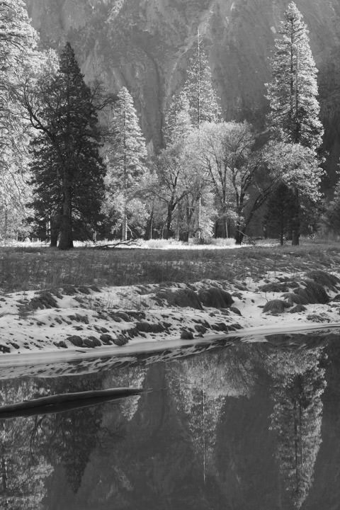 Photograph of Yosemite Reflections 7