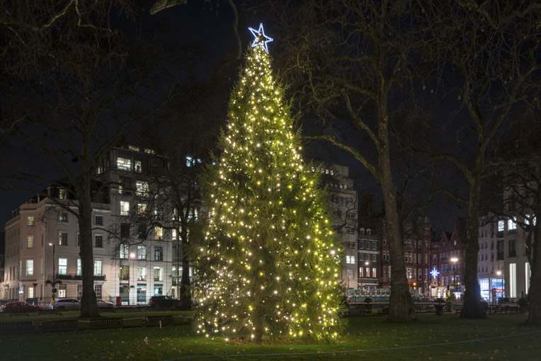Christmas Tree in Berkeley Square