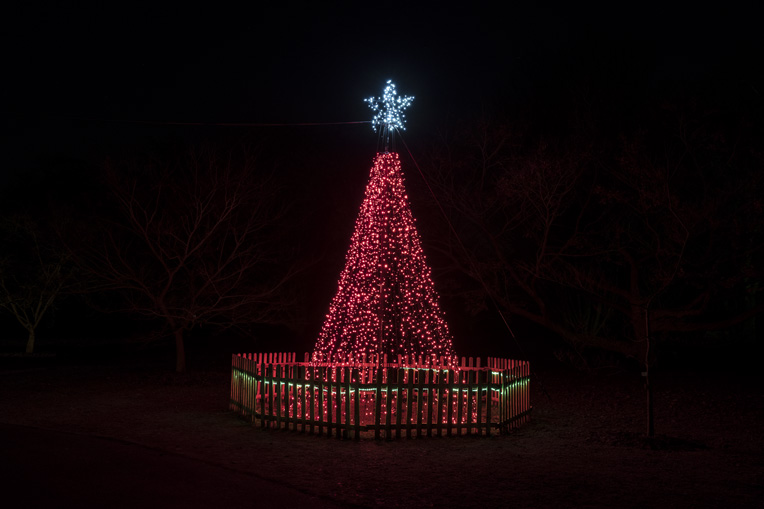 The Red Christmas Tree at Kew