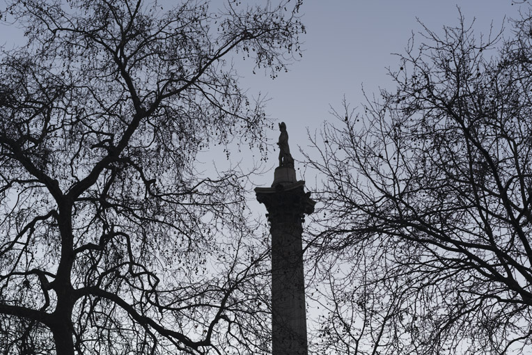 Nelson’s Column and winter Trees