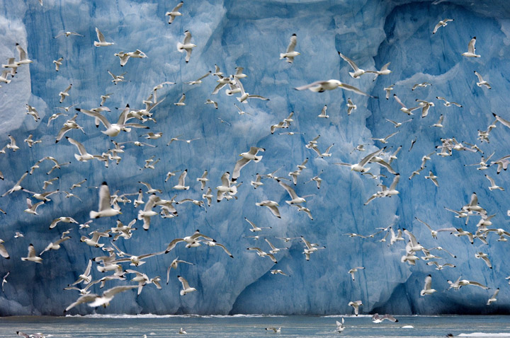  The Mr Smith Natural World photography collection