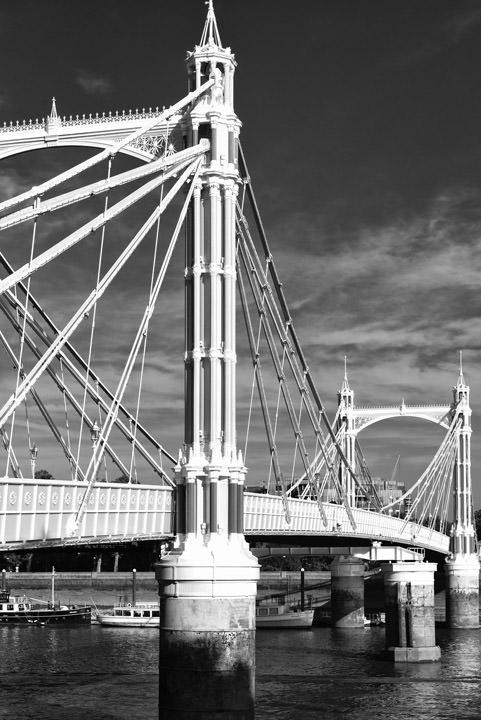 Photograph of Albert Bridge 15