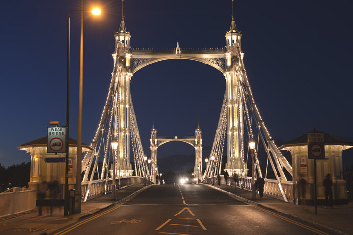 Image result for Albert Bridge