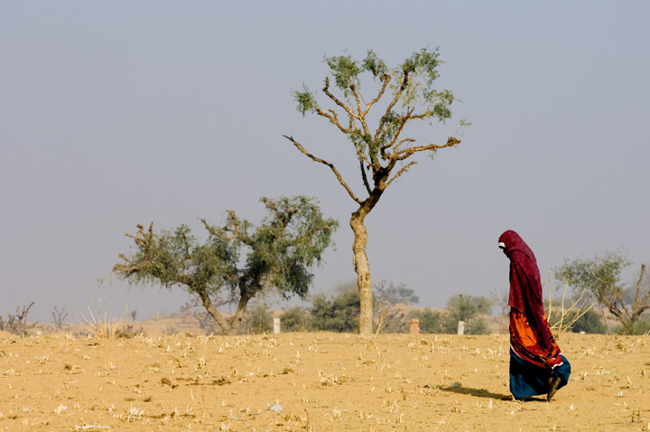 Photograph of Alone in Rajasthan