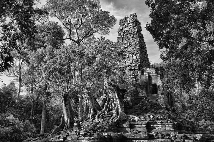 Photograph of Angkor 1