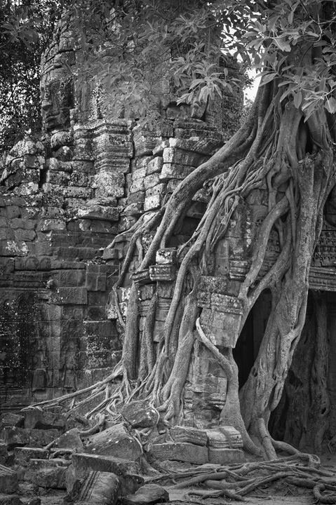 Photograph of Angkor 2
