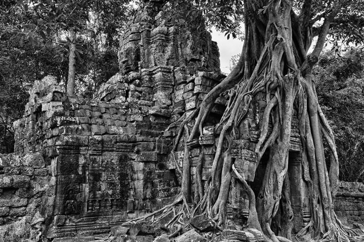 Photograph of Angkor 3