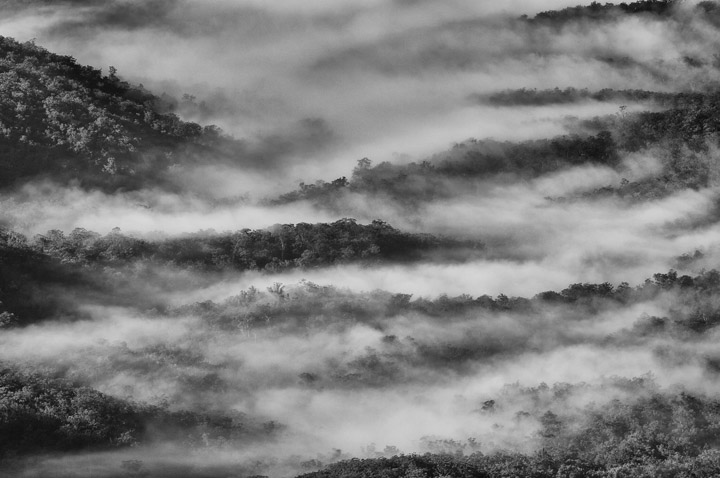Blue Mountains Mist