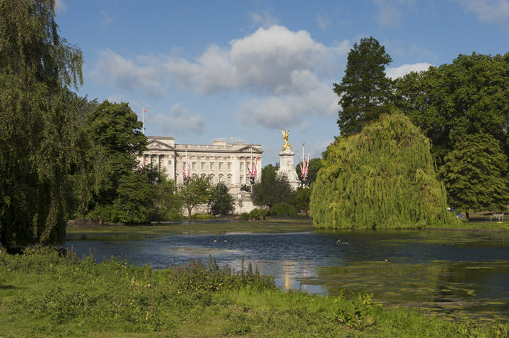 Photograph of Buckingham Palace - St James Park